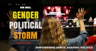 Small Gender Political Storm: Unraveling Its Impact and Ripple Effects