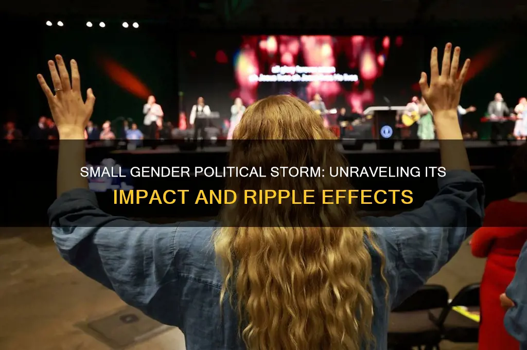 how small gender political storm