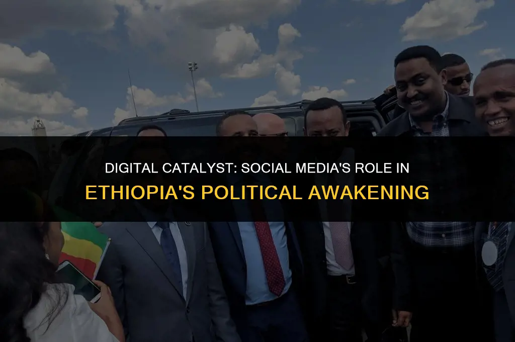 how social media shaped calls for political change in ethiopia