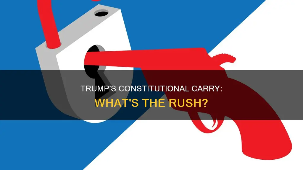 how soon constitutional carry trump