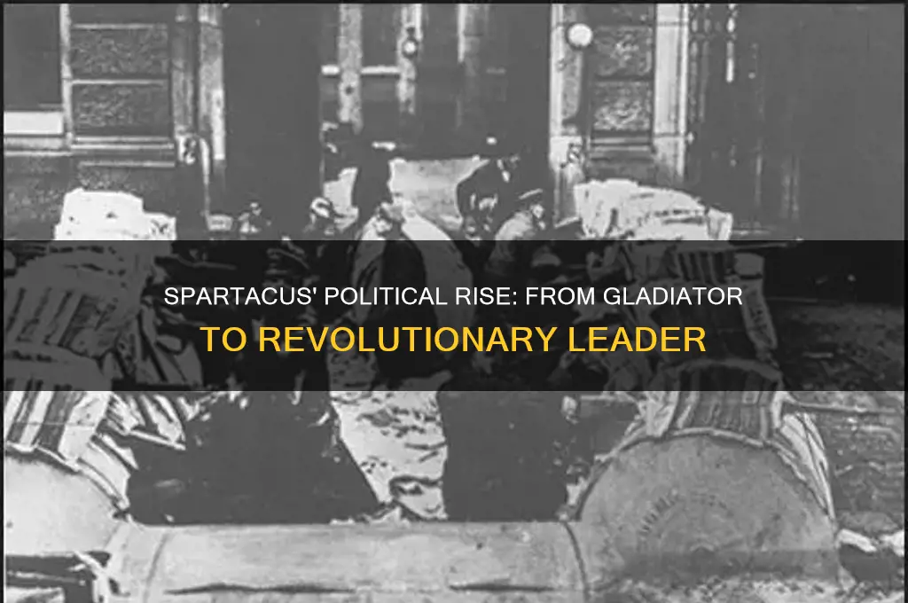 how spartacus goes into politics