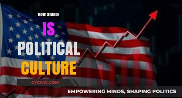 Exploring the Resilience of Political Culture: Stability Amidst Global Shifts