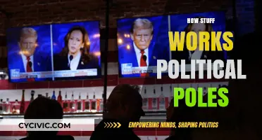 Understanding Political Polls: How They Work and Influence Elections