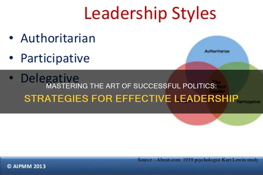 how successful politics can be