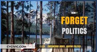 Escape the Noise: Mastering the Art of Ignoring Political Chaos