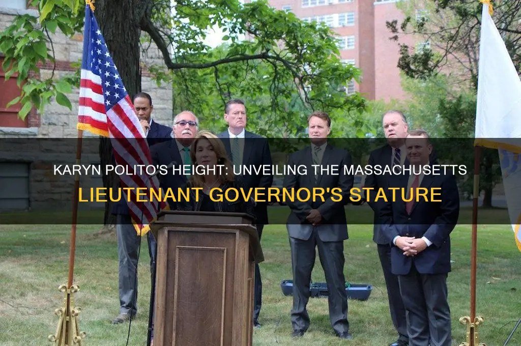 how tall is karyn polito