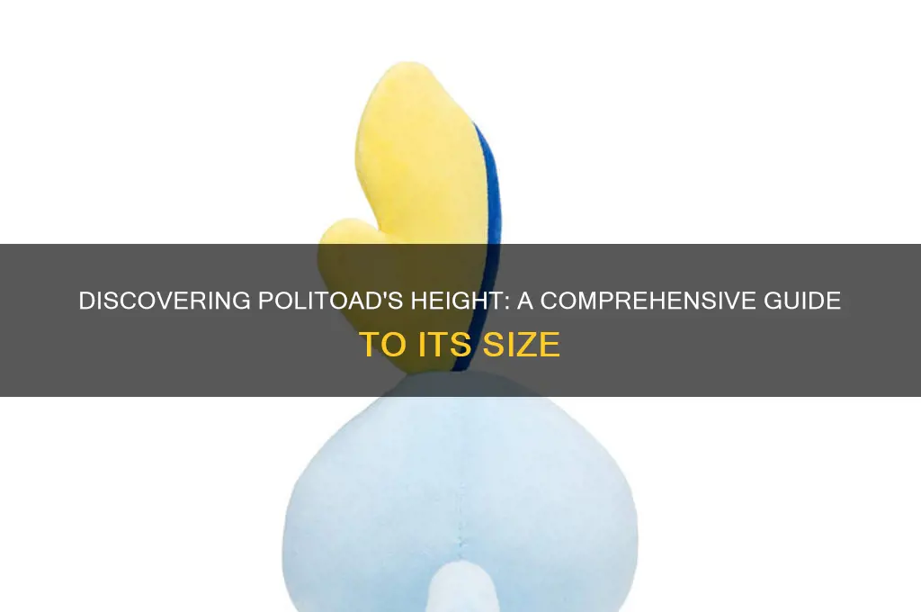 how tall is politoad