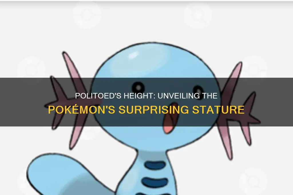 how tall is politoed