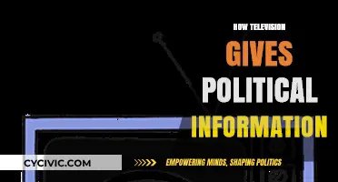 Television's Role in Shaping Political Awareness and Public Opinion