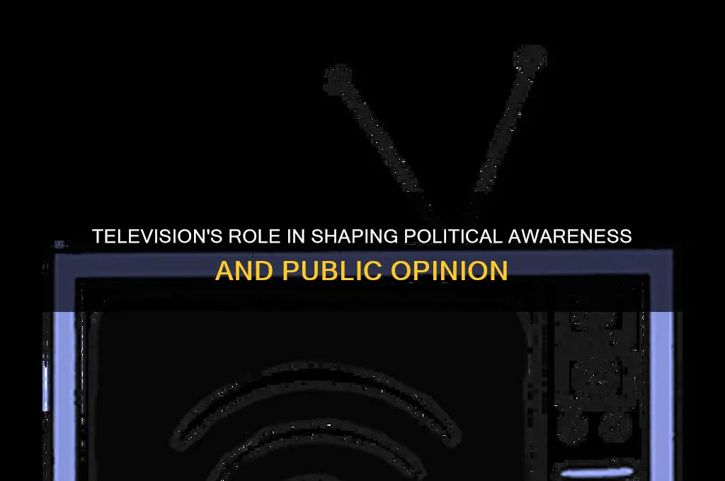 how television gives political information
