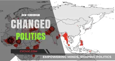 The Political Landscape Transformed: Terrorism's Impact on Global Politics
