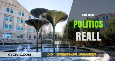 How Texas Politics Really Shape National Policies and Trends