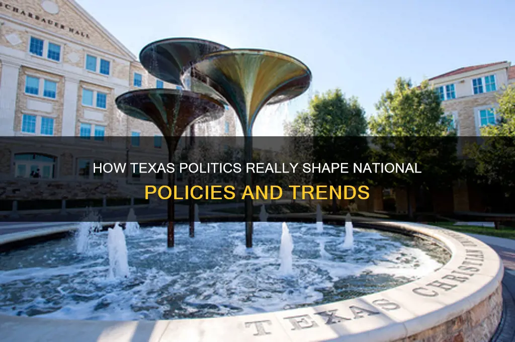 how texas politics reall