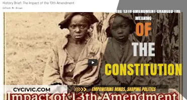 Amendment XIII: The Constitution's Radical Transformation