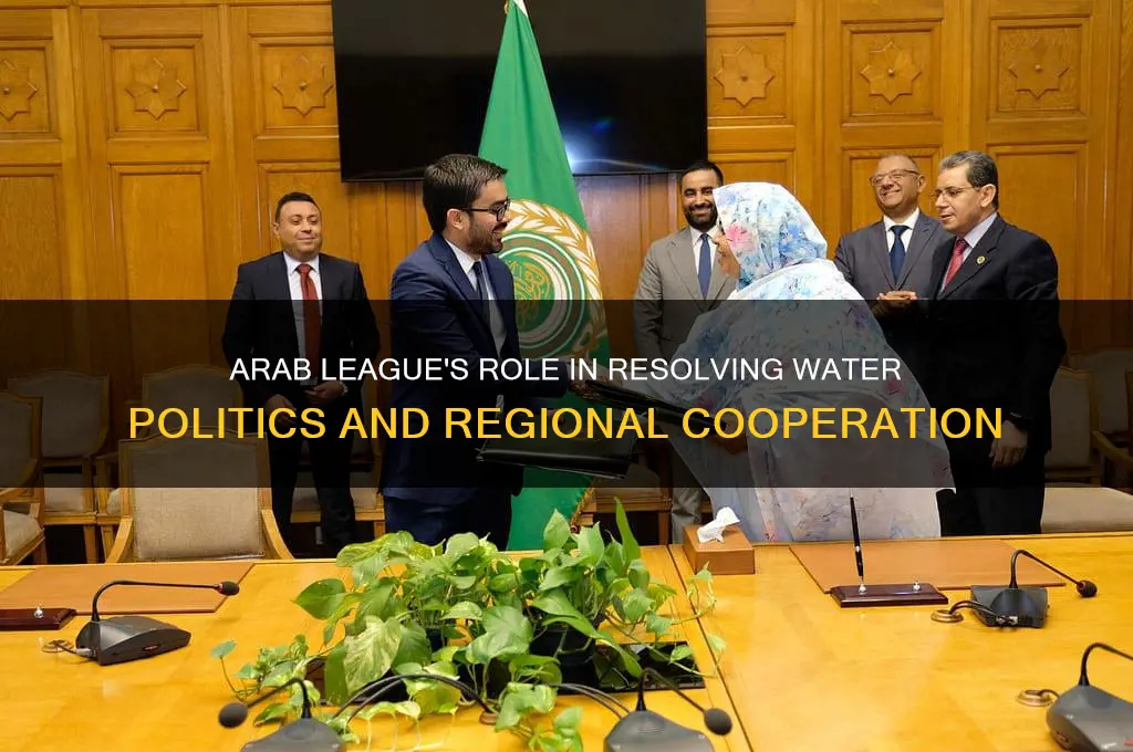 how the arab league can help water politics