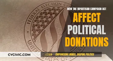 Bipartisan Campaign Act: Political Donations Transformed