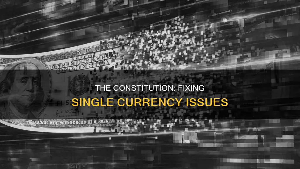 how the constitution fix the a single currency problems