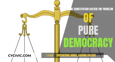 The Constitution: A Solution to Pure Democracy's Flaws