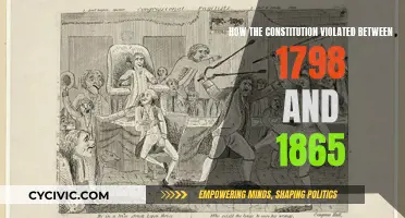 The Constitution Violated: America's Dark Chapter