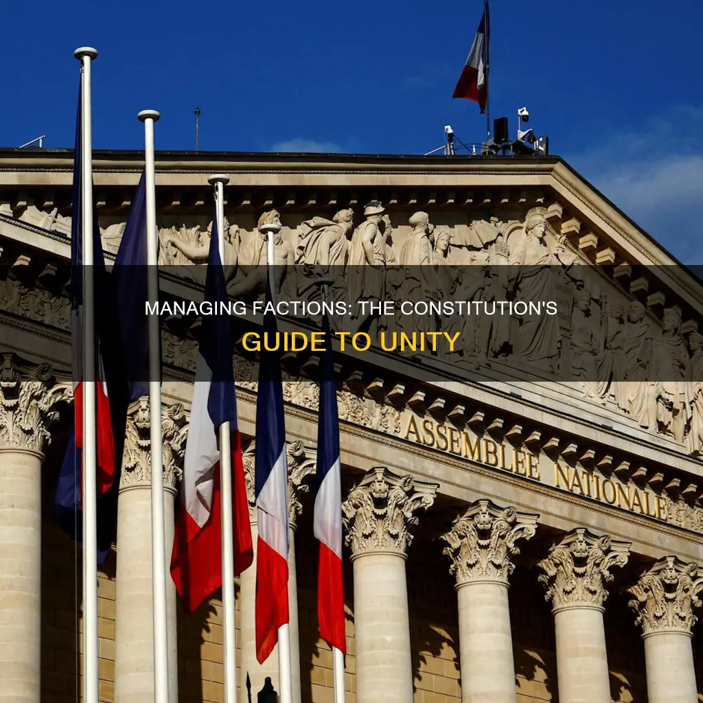 how the constitution would manage the problem of faction