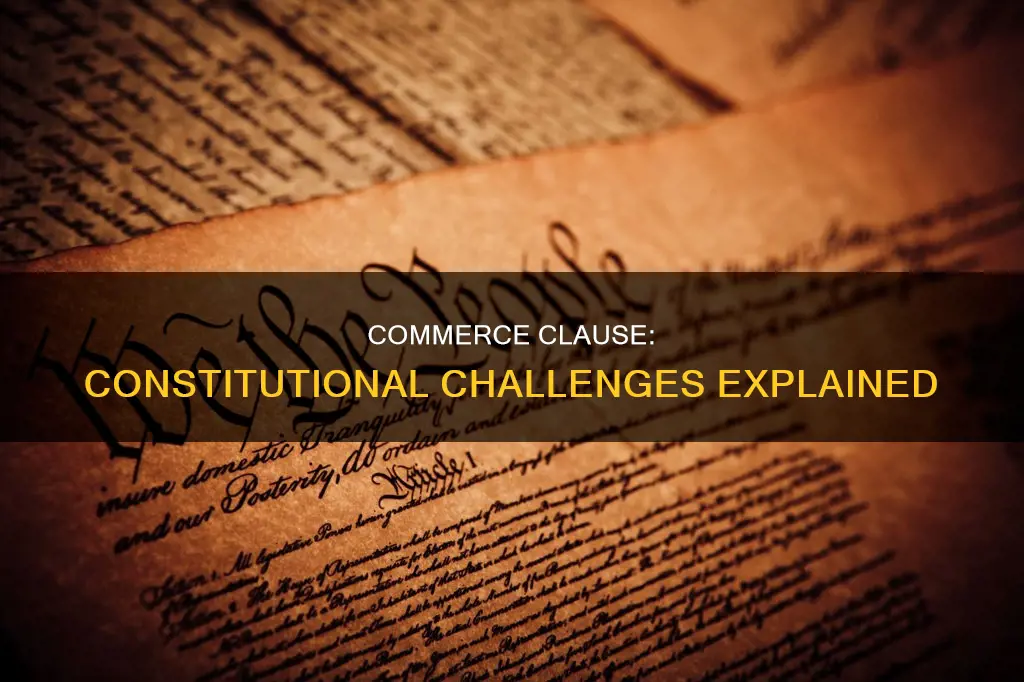 how the constitutionality of the commerce clause has been challenged