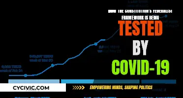 Federalist Framework Faces COVID-19 Challenge