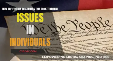 Addressing Constitutional Issues: Individual Rights and Freedoms