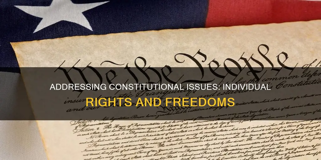 how the efforts to address this constitutional issues in individuals