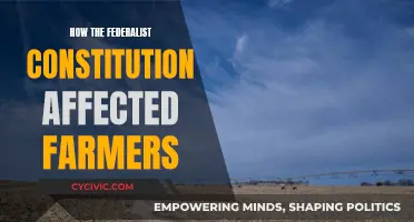 Federalist Constitution: Impact on Agrarian America