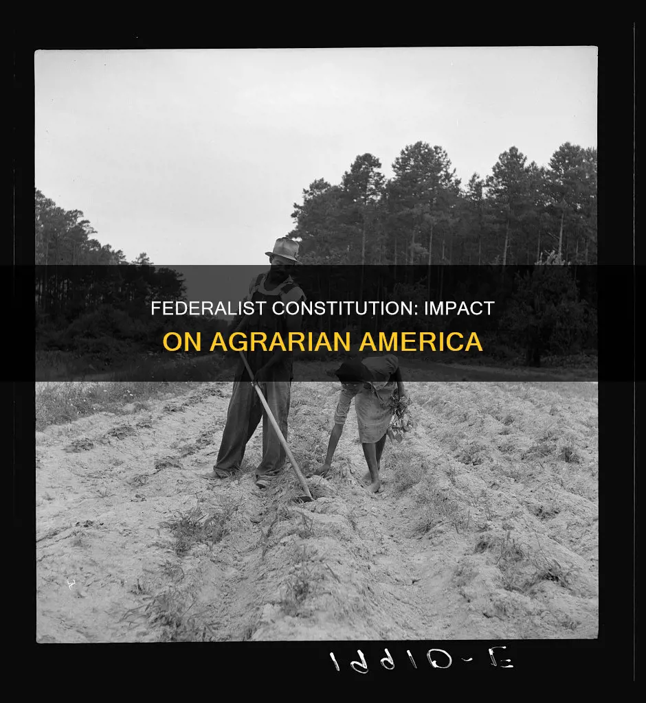 how the federalist constitution affected farmers