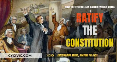 Federalists' Strategies to Secure Constitution Ratification Votes
