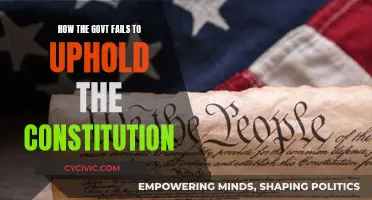 The Government's Betrayal of Constitutional Values