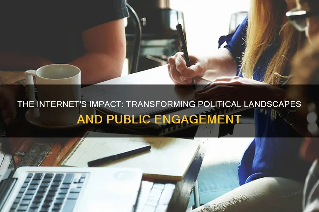 how the internet effects politics