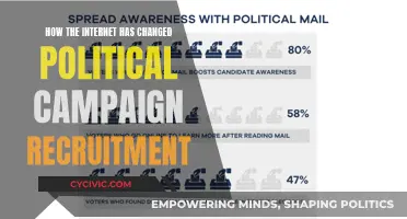 The Internet's Impact on Political Campaign Recruitment Strategies