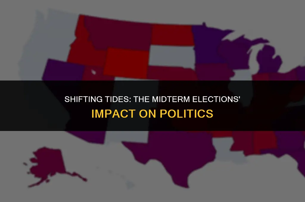 how the midterm elections changed the political landscape