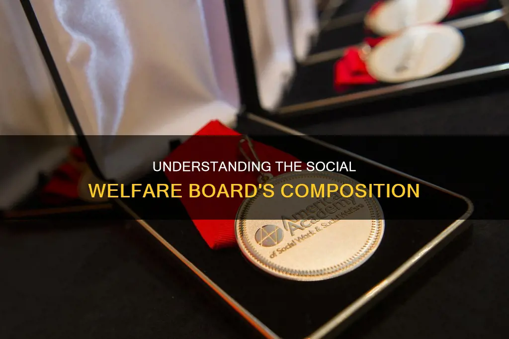 how the national level social welfare board is constituted