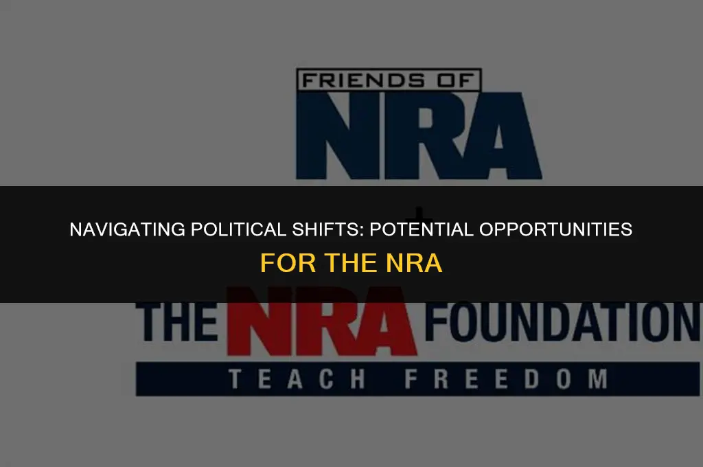 how the nra could benefit from political changes