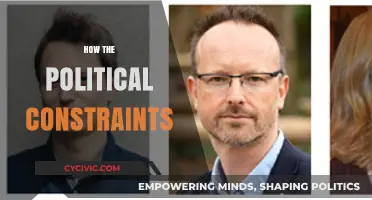 Navigating Political Constraints: Challenges and Strategies for Effective Governance