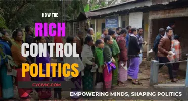 Wealth's Grip on Power: How the Rich Control Politics
