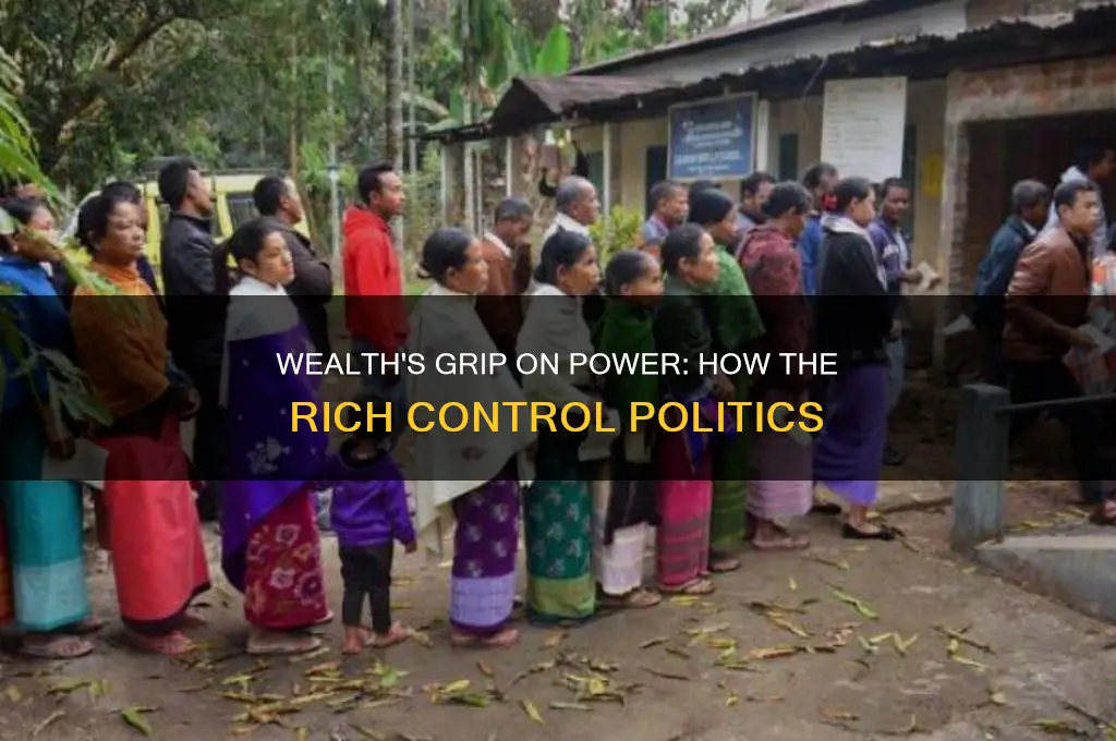 how the rich control politics