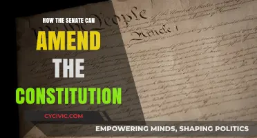 Amending the Constitution: Senate's Role and Power