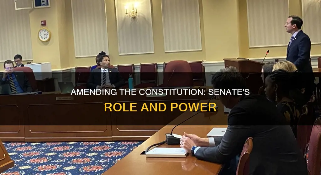 how the senate can amend the constitution