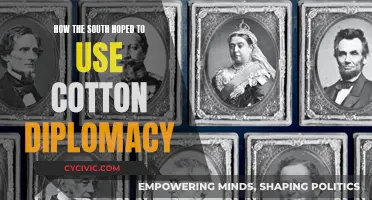 Southern Cotton Diplomacy: A Strategy to Win Foreign Support