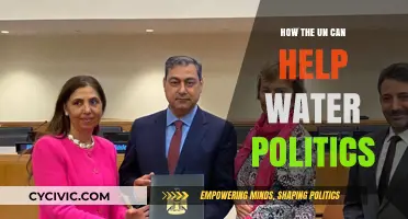 UN's Role in Resolving Global Water Politics and Cooperation