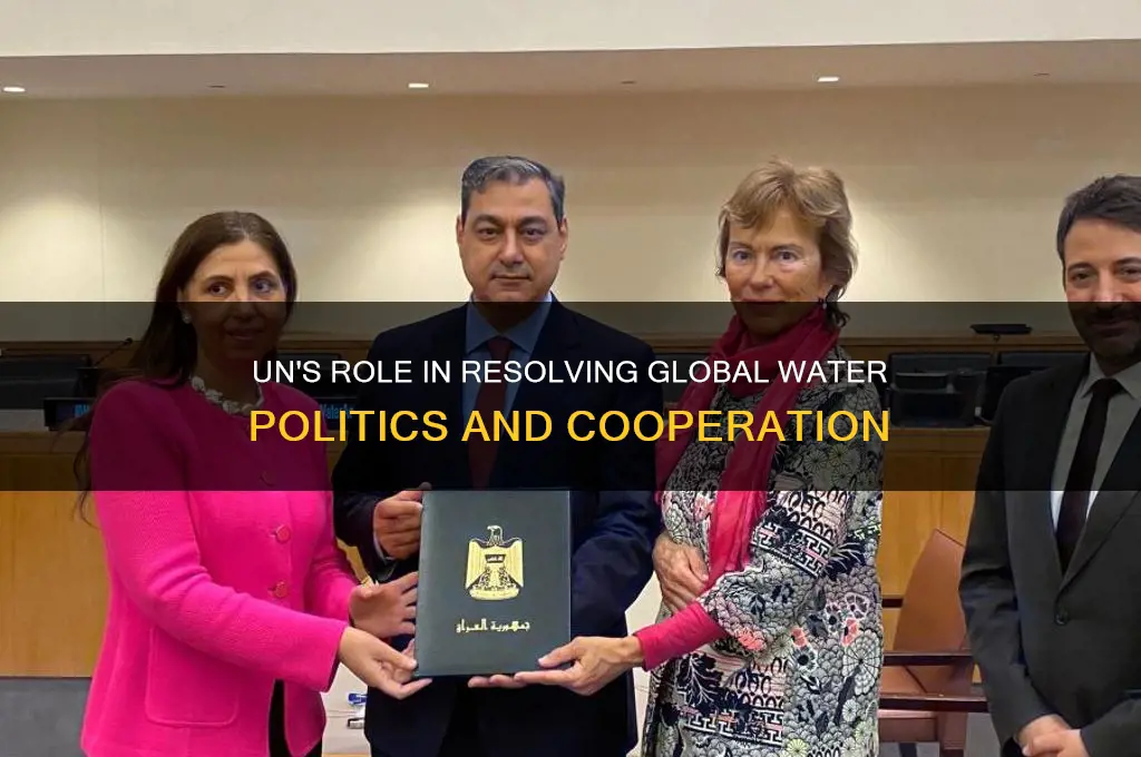 how the un can help water politics