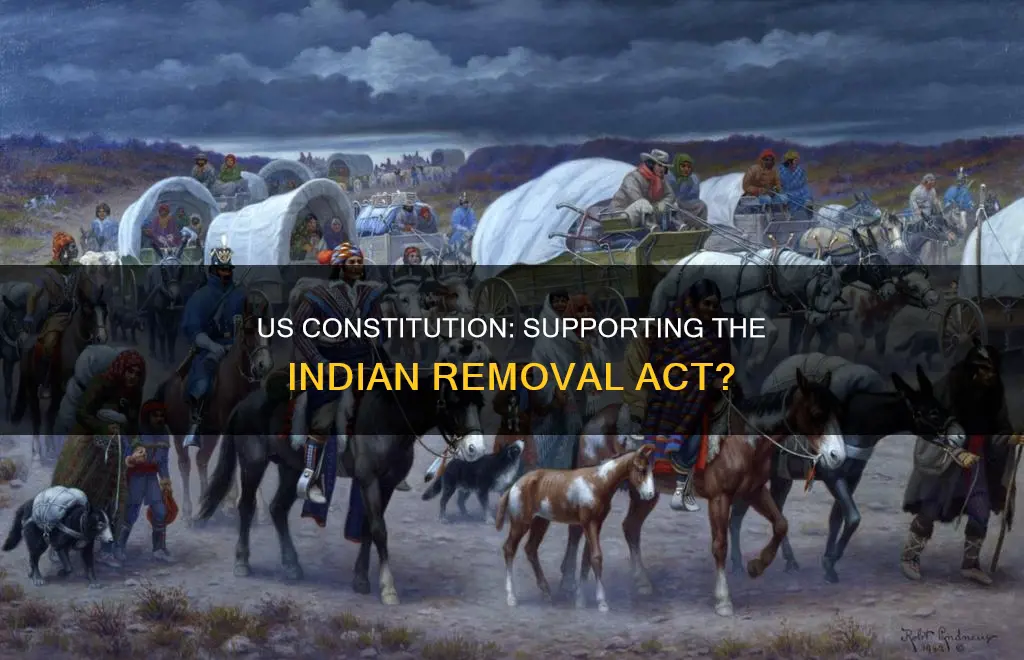 how the us constitution supports the indian removal act