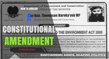 Abolishing Constitutional Amendments: A Step-by-Step Guide