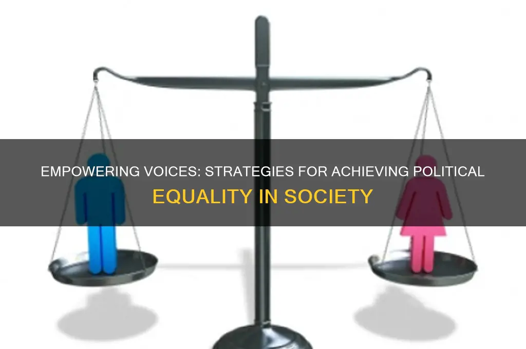 how to achieve political equality