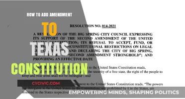 Amending the Texas Constitution: A Step-by-Step Guide