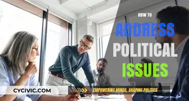 Navigating Political Challenges: Effective Strategies for Addressing Complex Issues
